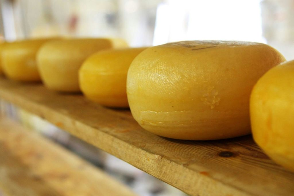 흐릿한 실내 환경의 나무 선반에 놓인 둥근 바퀴 세 개짜리 치즈.