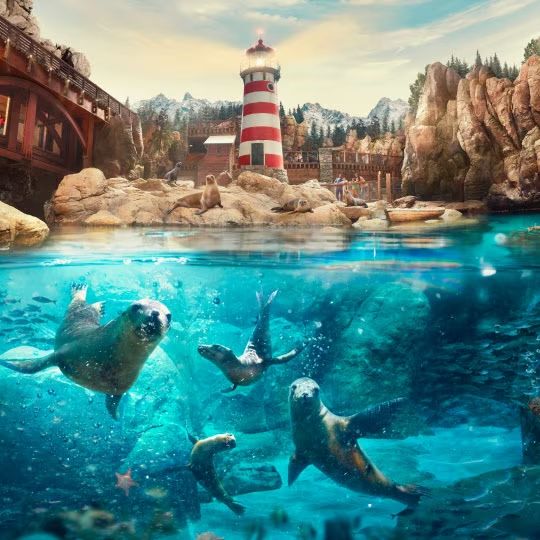 씨 월드 아부다비