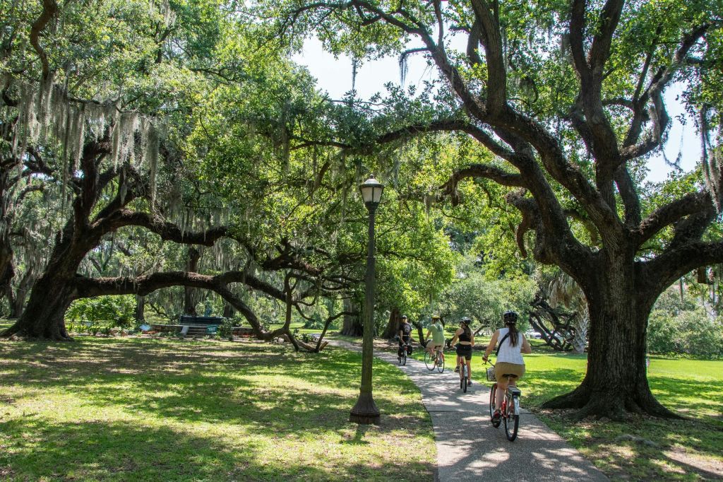 이끼로 덮인 커다란 나무와 가로등이 있는 공원을 지나 포장된 산책로에서 자전거를 타는 사람들.