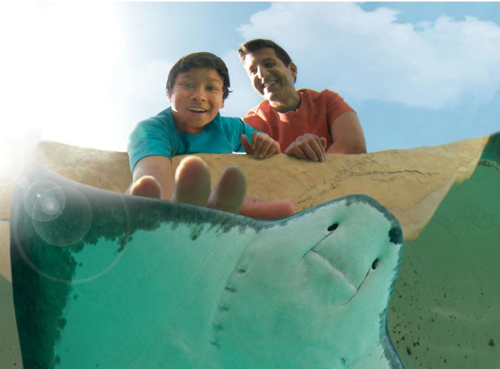 푸른 하늘을 배경으로 수족관 수영장에서 가오리를 만지며 웃고 있는 두 사람.