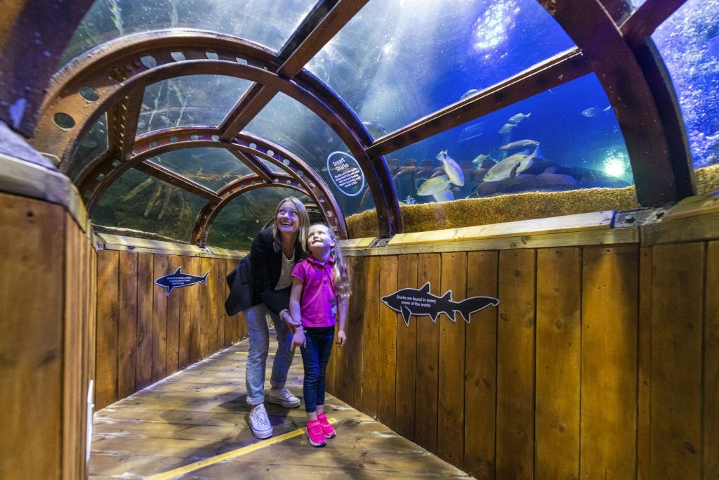 유리 천장이 있는 터널에서 물고기가 커다란 수족관과 그 주변에서 헤엄치는 모습을 보고 있는 한 여성과 어린이.