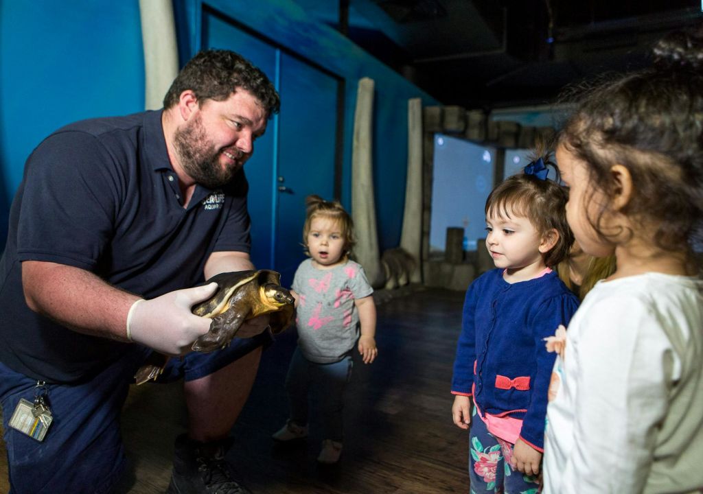 한 남성이 파란색 배경의 실내 전시관에서 세 명의 어린 아이들에게 거북이를 보여주고 있습니다.
