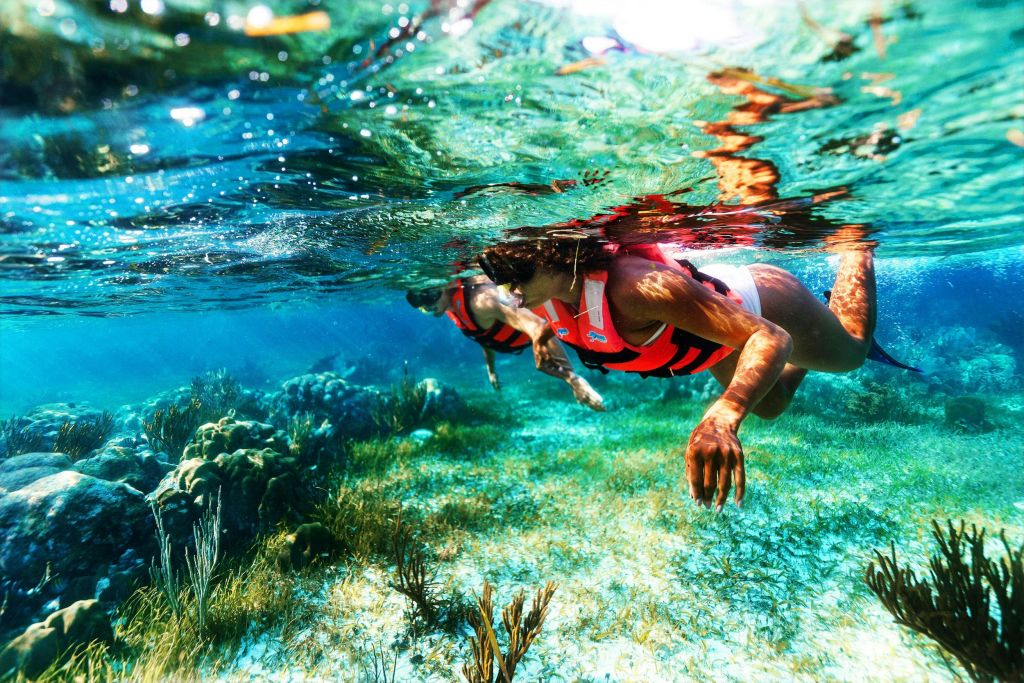 파레하 디스프루탄도 델 아레시페