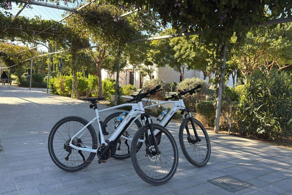 야마하 전동 자전거를 타고 발렌시아를 둘러보세요. 이 자전거는 120km의 높은 자율성으로 장거리 여행에 이상적입니다.