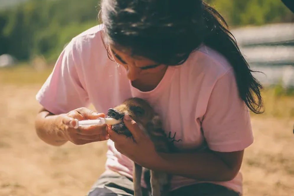 와일드 포레스트 리저브 재