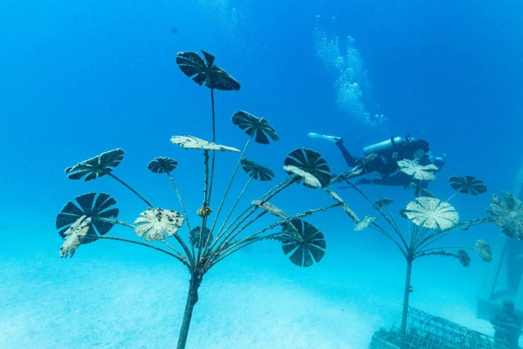 다이버와 함께 맑고 푸른 물 속에서 현장을 탐험하는 식물과 닮은 수중 조각상.