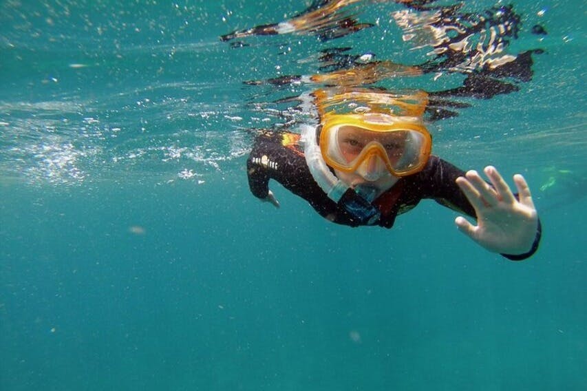 Snorkel