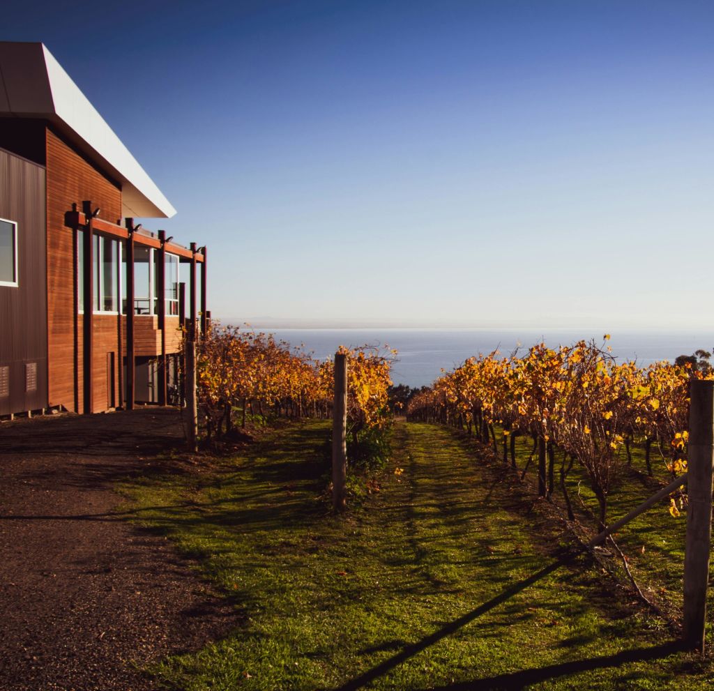 잭래빗 와이너리