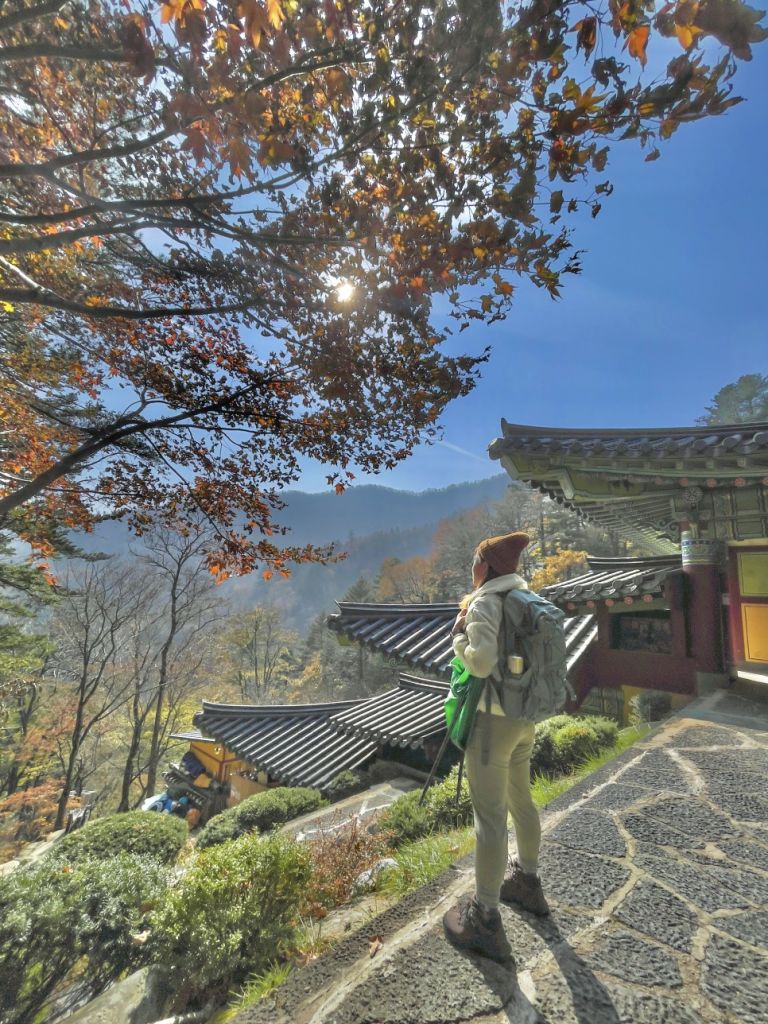 평창 오대산 국립공원(2권역)