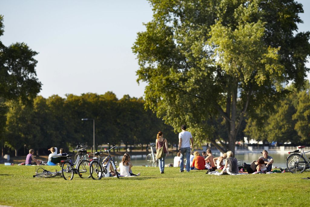 사람들은 화창한 날 자전거와 커다란 나무를 배경으로 물가 근처의 잔디가 우거진 공원에서 휴식을 취합니다.