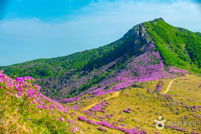 황매산