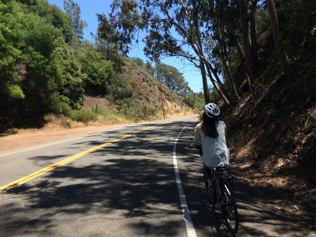 헬멧을 착용한 사람이 맑고 푸른 하늘 아래 가로수 길에서 자전거를 타고 있습니다.