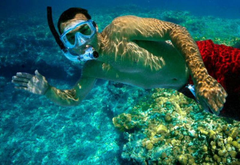 맑고 푸른 바다에서 다채로운 산호초 위로 스노클링을 즐기는 사람. 밝은 패턴은 피부와 장비에 반사됩니다.