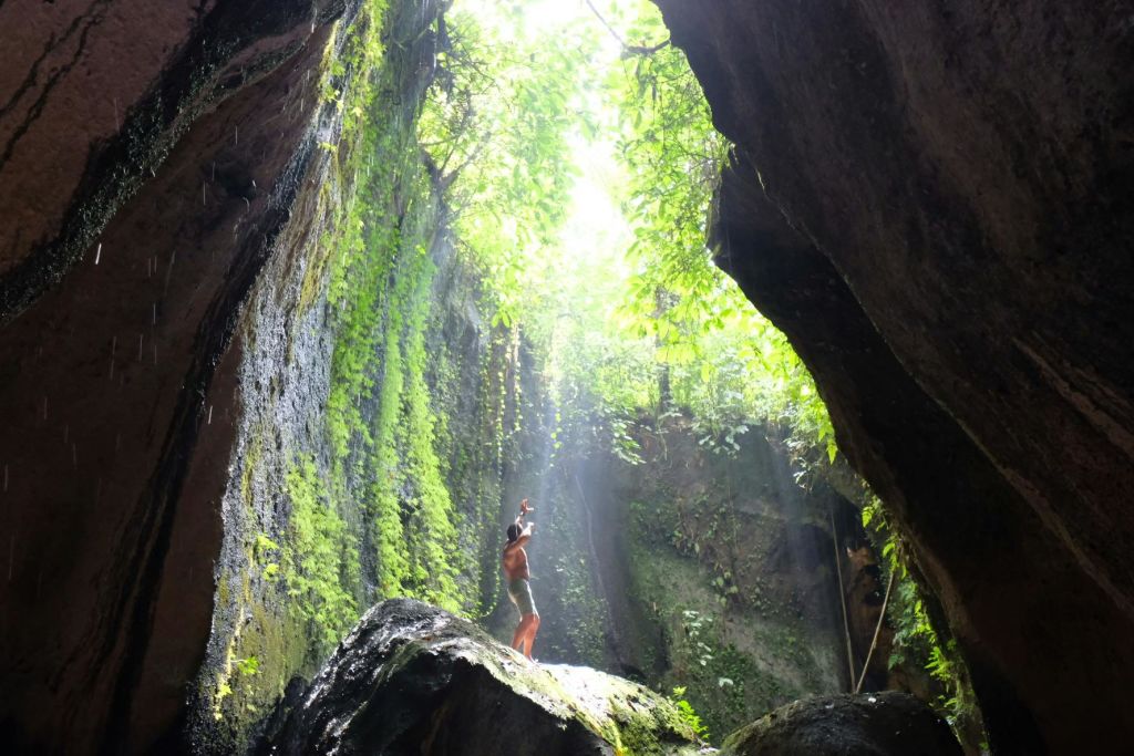 울창하고 이끼로 뒤덮인 협곡의 바위 위에 서 있는 사람은 위의 단풍을 가로지르는 햇살을 받으며 조명을 받습니다.