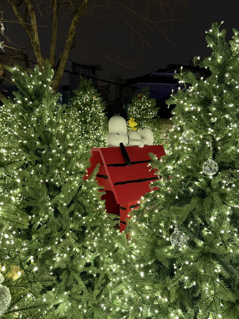 제이닷트리 크리스마스 팝업