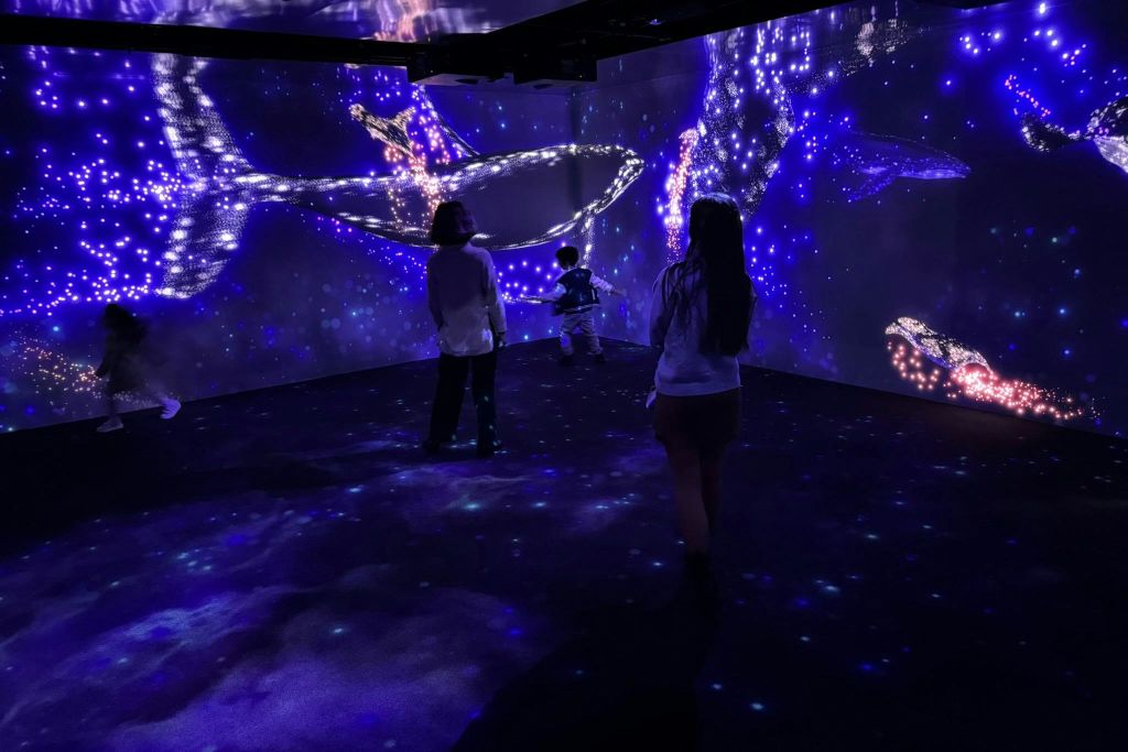 새로운 전시 - 물에 잠긴 우주