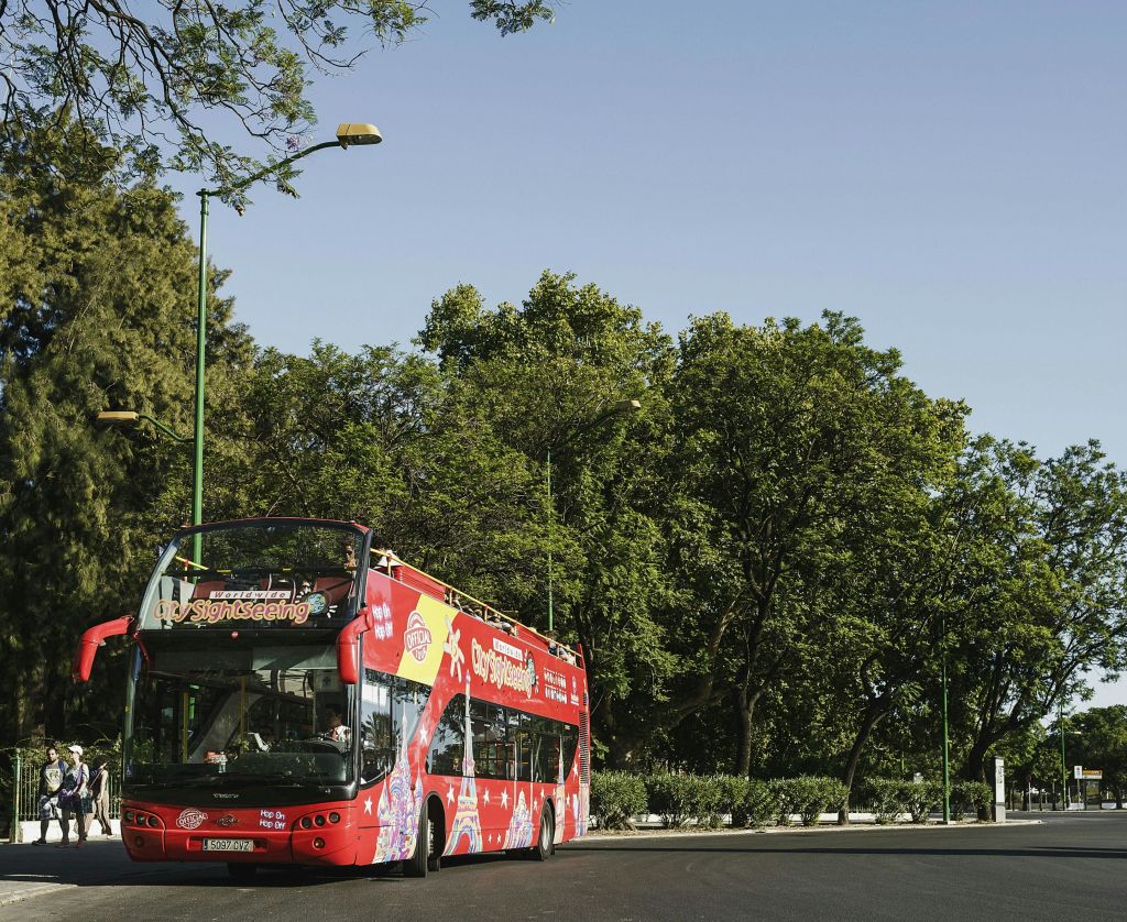 탁 트인 상단이 있는 빨간색 2층 투어 버스가 맑고 푸른 하늘 아래 가로수에 주차되어 있습니다.