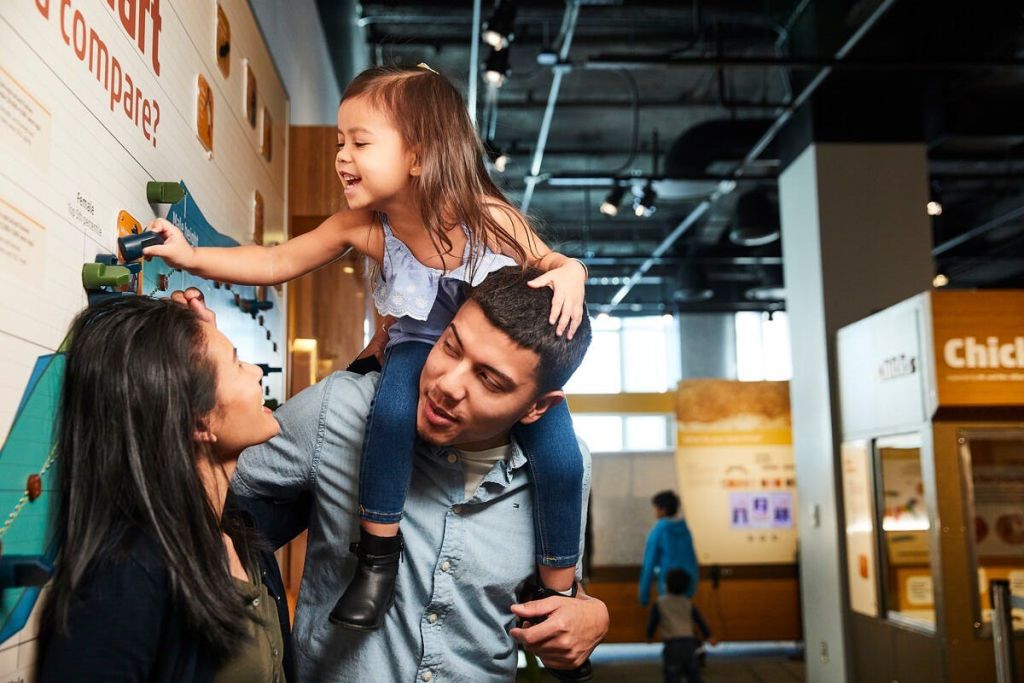 고시티 보스턴: 올인클루시브 패스