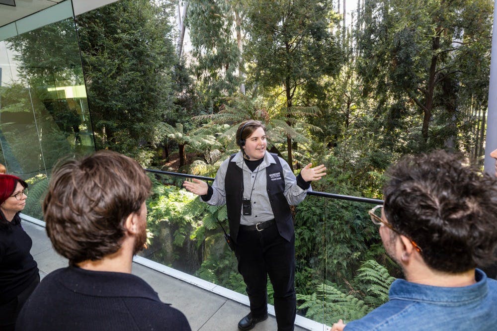 Melbourne Museum Highlight Tour