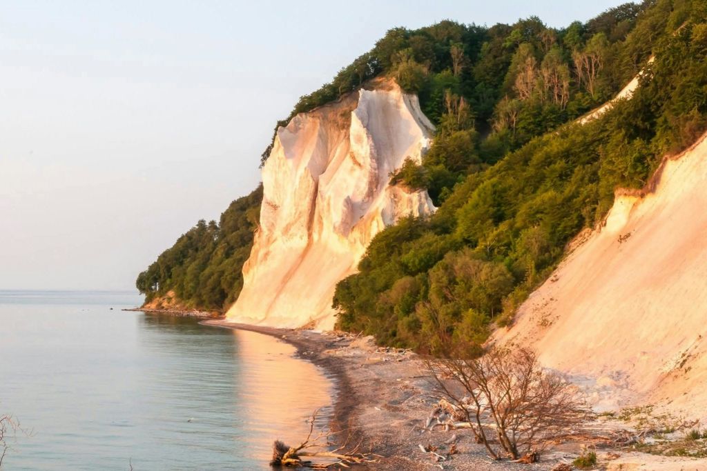 석양에 하얀 절벽과 푸른 초목이 어우러진 바위 해안은 따뜻한 빛을 반사합니다.