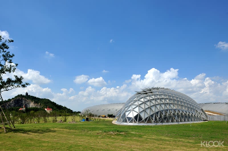 온실은 전 세계 식물에 적합한 성장 환경을 조성하여 풍부하고 흥미로운 열대 식물 경관을 형성합니다.