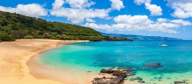 오아후: 그랜드 서클 섬, 돌 농장, 마카다미아 농장 에코 투어