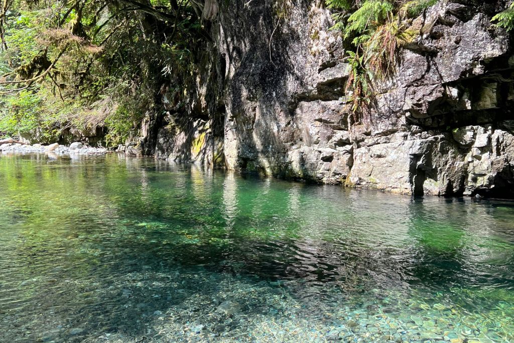 수영하실 분 계신가요?