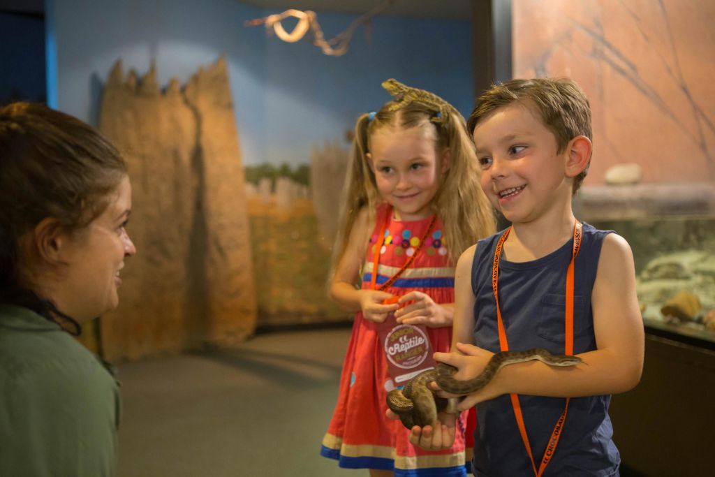 파충류의 집 크로코사우루스 코브