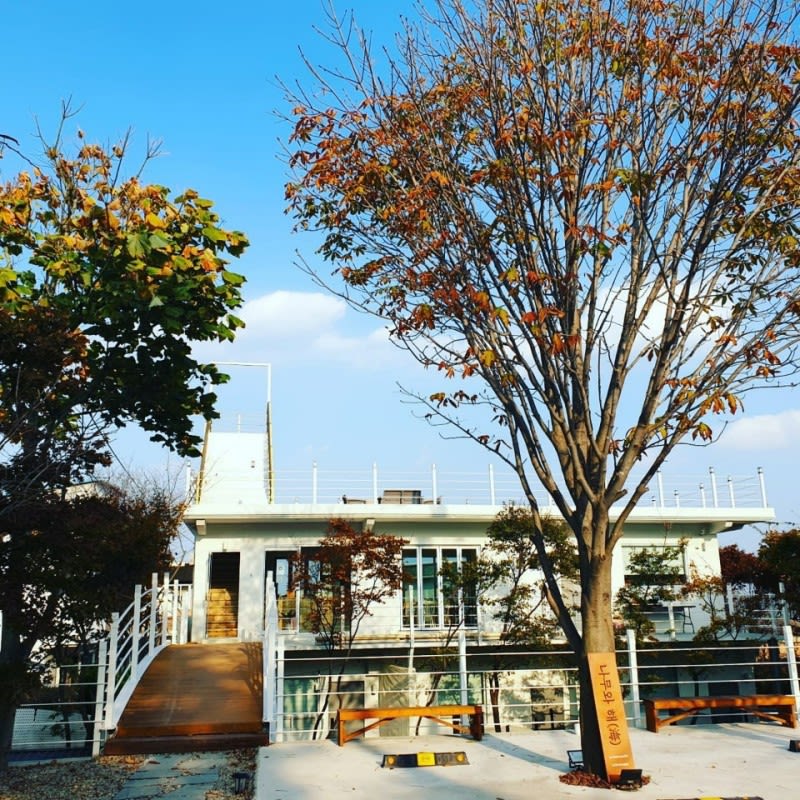고성(속초) 나무와해펜션 팁 & 고려사항 이미지