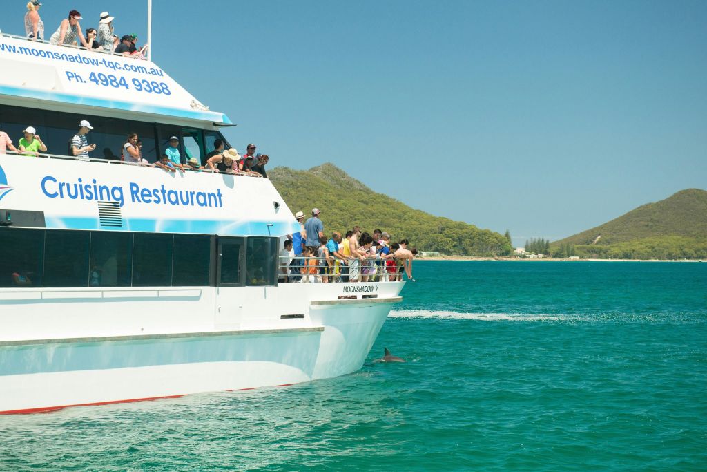 문섀도우 크루즈를 타고 돌고래 관찰하기