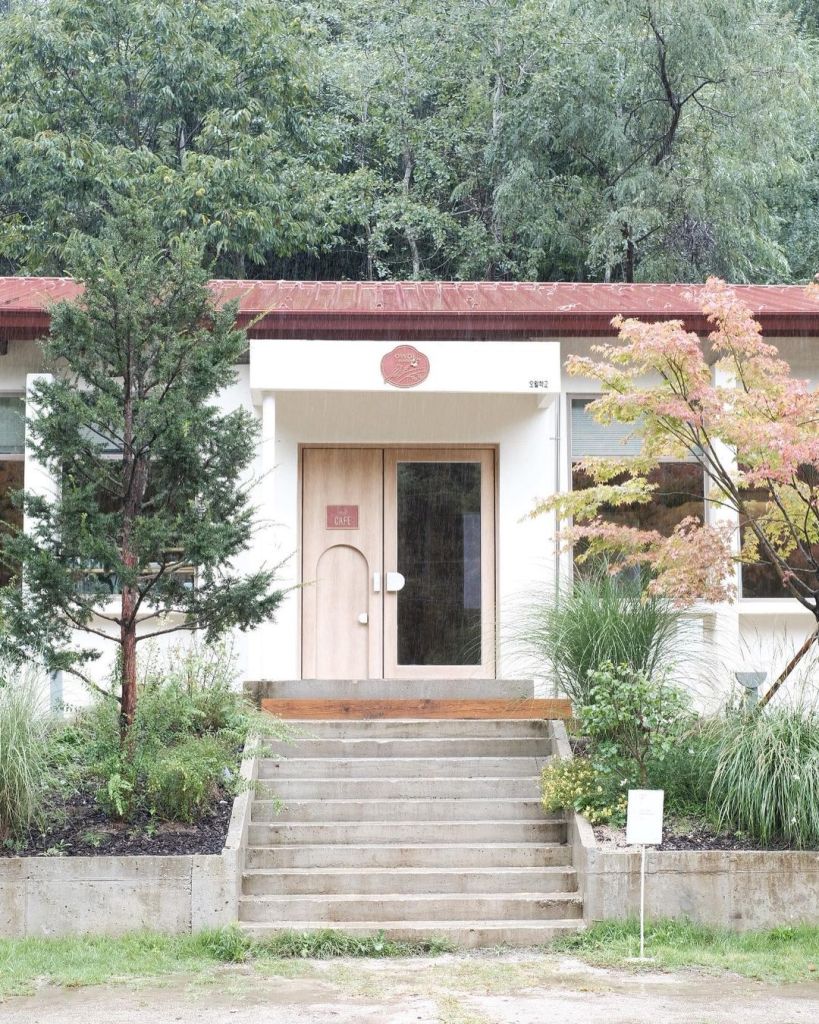 오월 학교