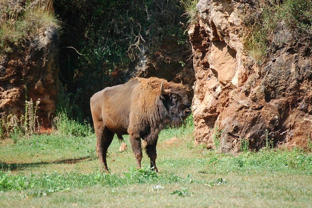 카바르세노 공원
