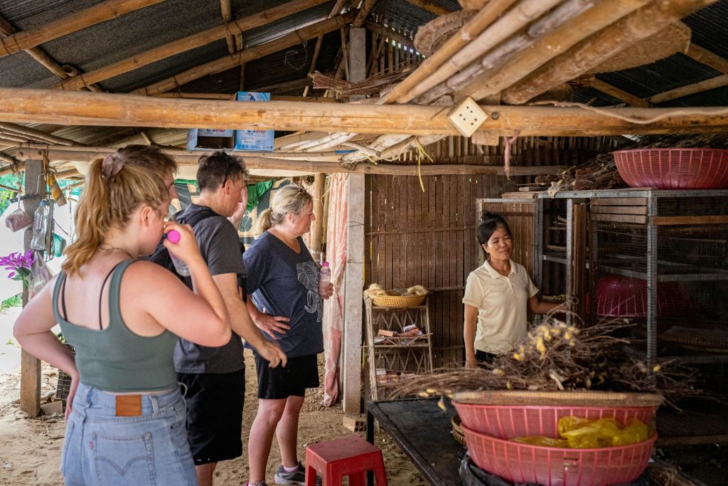 비단섬을 발견하고 비단 생산 과정에 대해 알아보세요.