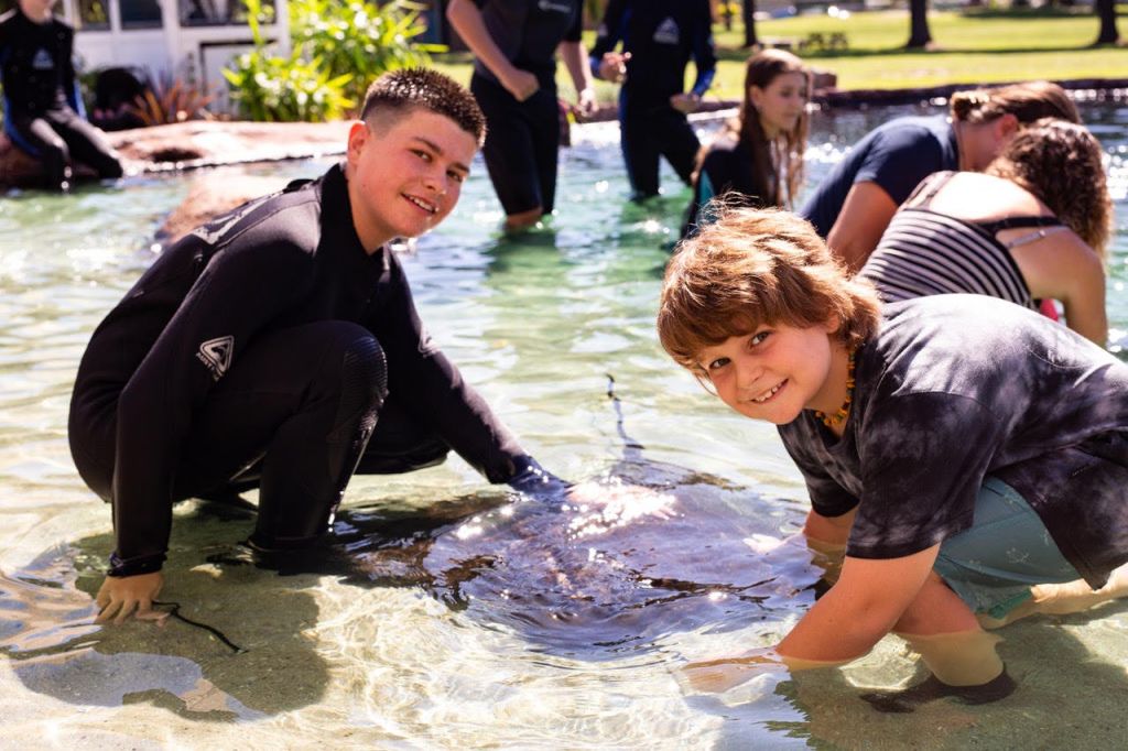 두 명의 미소 짓는 소년이 얕은 수영장에서 가오리를 쓰다듬고, 백그라운드에 있는 다른 사람들이 이 활동에 참여합니다.