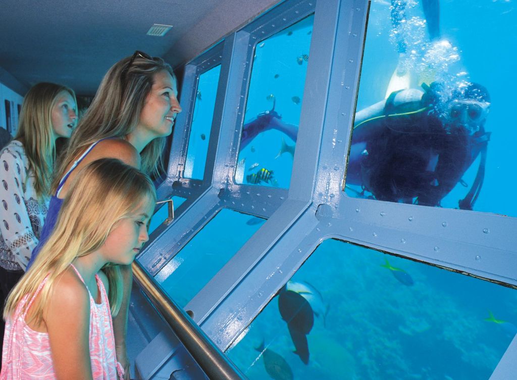 두 명의 어린이를 포함한 세 사람이 수중 터널의 커다란 창문을 통해 해양 생물을 관찰합니다. 다양한 물고기와 상어가 밖에서 보입니다.