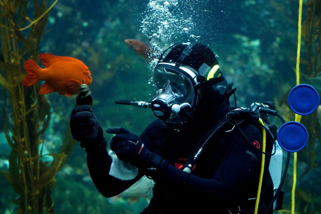 샌디에고 시티패스