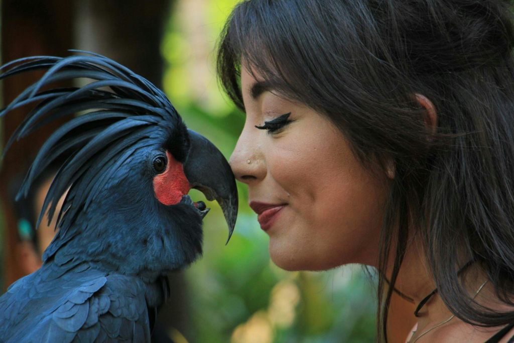 짙은 회색 앵무새에 붉은 뺨 패치가 달린 날개 달린 아이라이너와 코를 뚫은 여성.