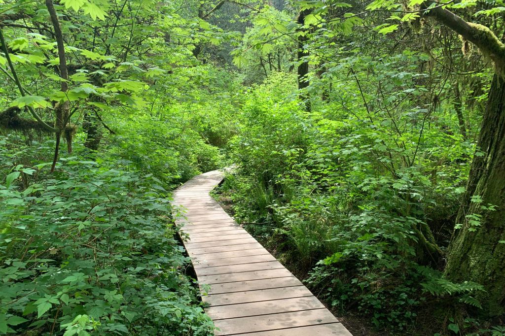 아름다운 자연 속에서 하이킹을 즐겨보세요.