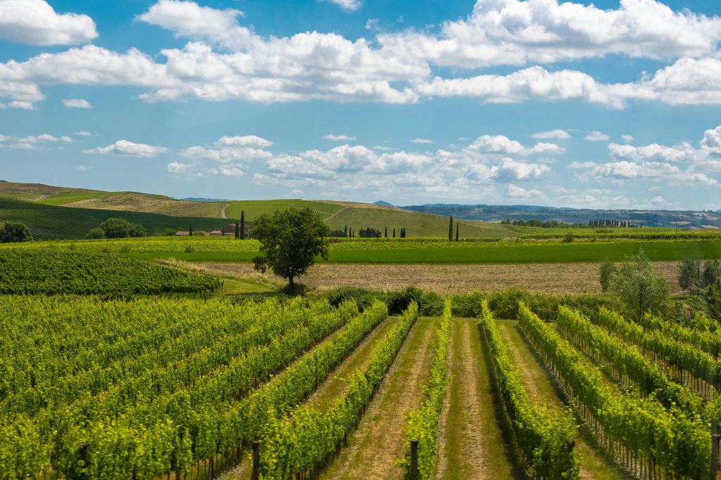 중세 토스카나 체험: 피렌체에서 출발하는 몬테리지오니와 발도르시아 투어