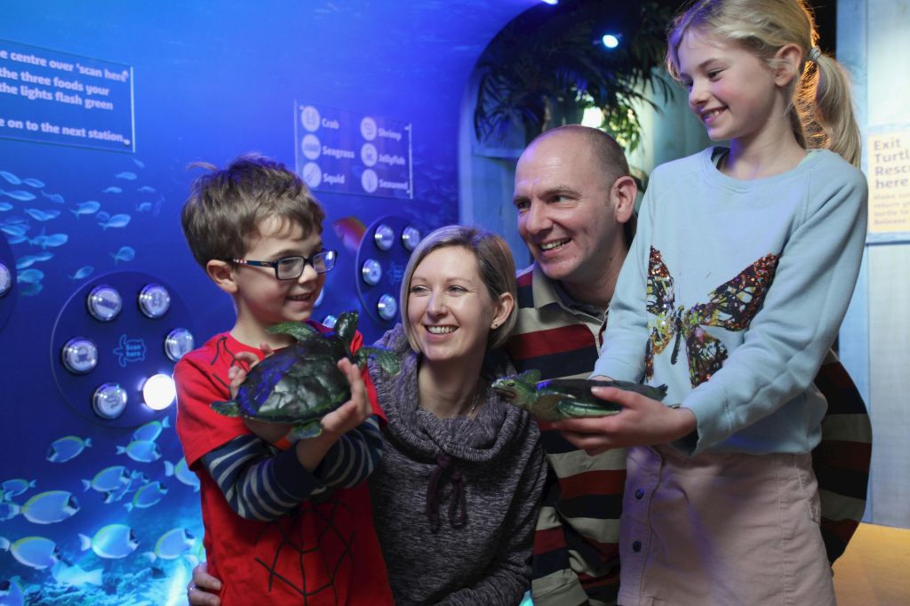 조명이 희미한 파란색 테마의 전시실 안에서 4명의 가족이 미소를 지으며 장난감 거북이를 안고 있습니다.
