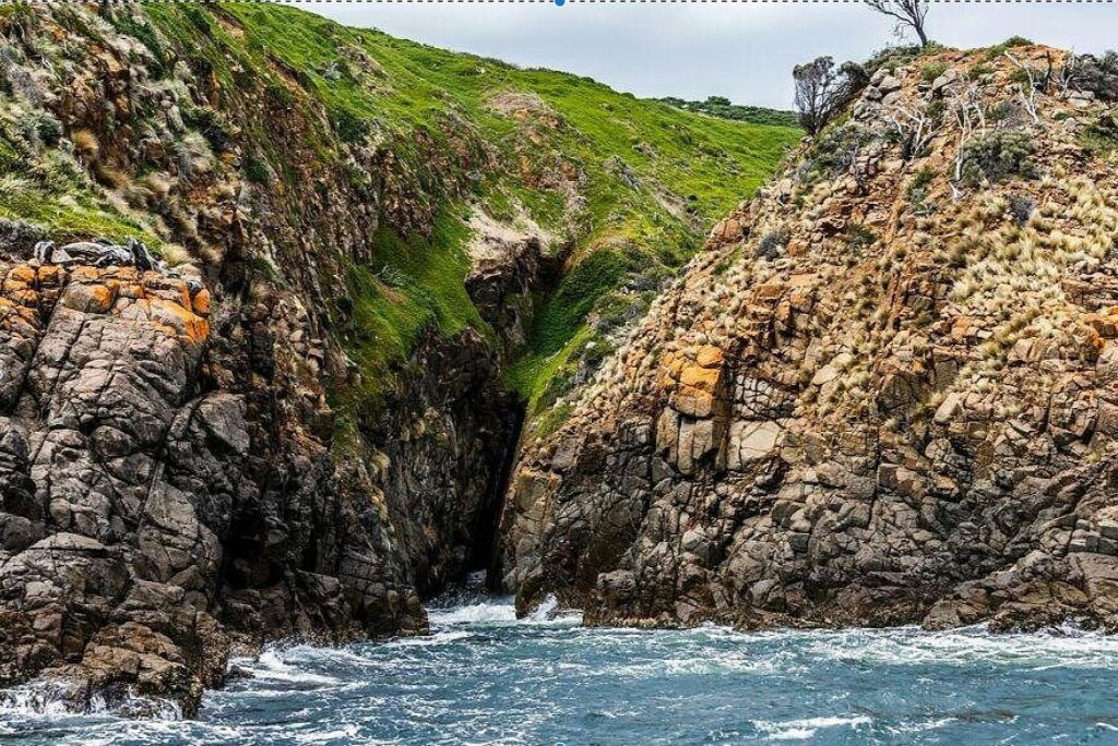 좁고 푸른 이끼가 덮인 계곡이 있는 바위 해안 절벽은 파도가 고르지 않은 바다로 이어집니다.