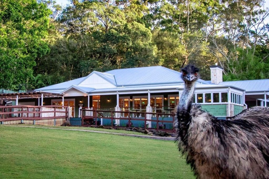 더 홈스테드 (The Homestead) 는 럭셔리 이벤트 및 식사 장소입니다.