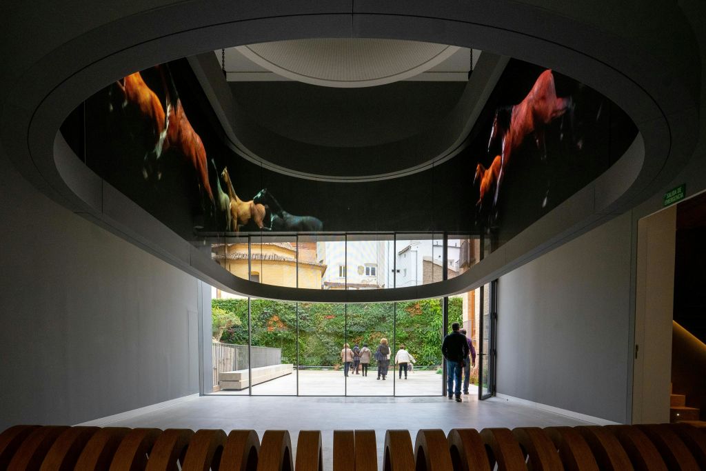 말의 비주얼을 보여주는 곡선형 스크린, 정원과 밖을 걷는 사람들을 보여주는 유리 출구가 있는 현대적인 갤러리 내부입니다.