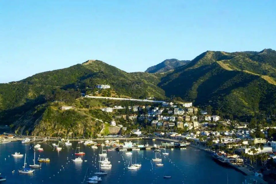 카탈리나섬 당일 여행 (호텔 교통편 제공)