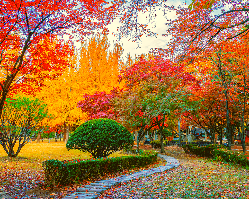 Nami Island · Petite France + Italian Village Private Tour