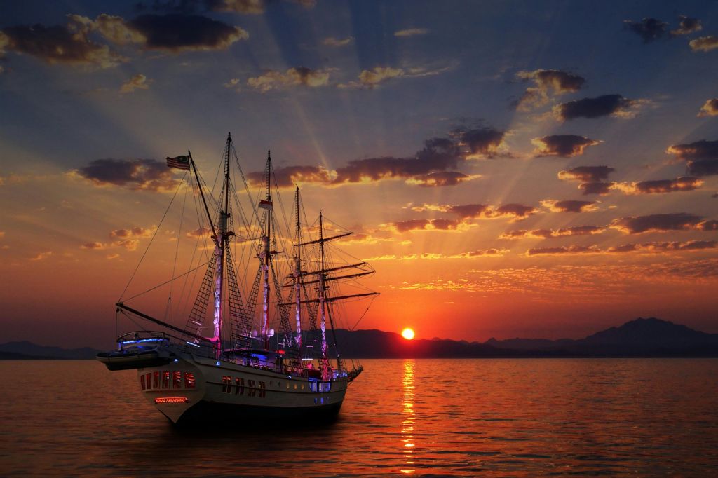 로열 앨버트로스