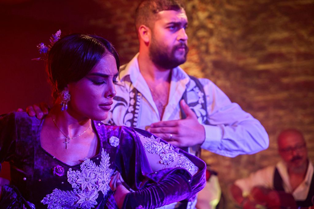 알바 헤레디아와 로버 더 브라운