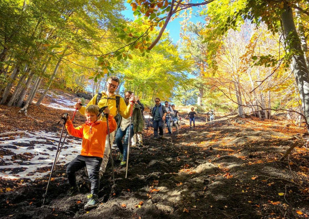 가을 단풍이 가득한 나무로 둘러싸인 산책로를 따라 내리막길을 걷고 있는 어린이를 포함한 일행.