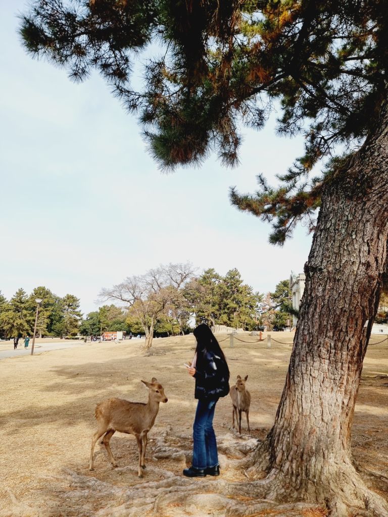 in 2 OSAKA🇯🇵/3박4일 가족여행 - 트리플, 나를 아는 여행 앱