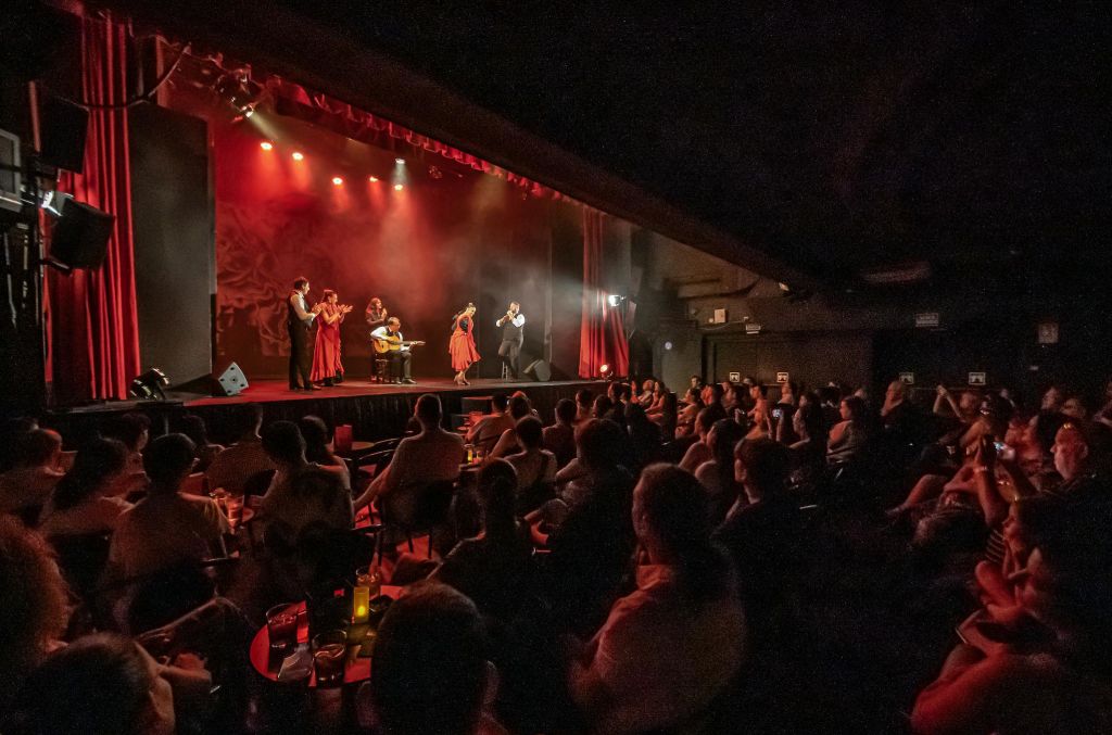 붉은 드레스를 입은 댄서와 뮤지션이 함께하는 무대에서의 라이브 공연으로, 관객이 희미한 극장에서 관람합니다.